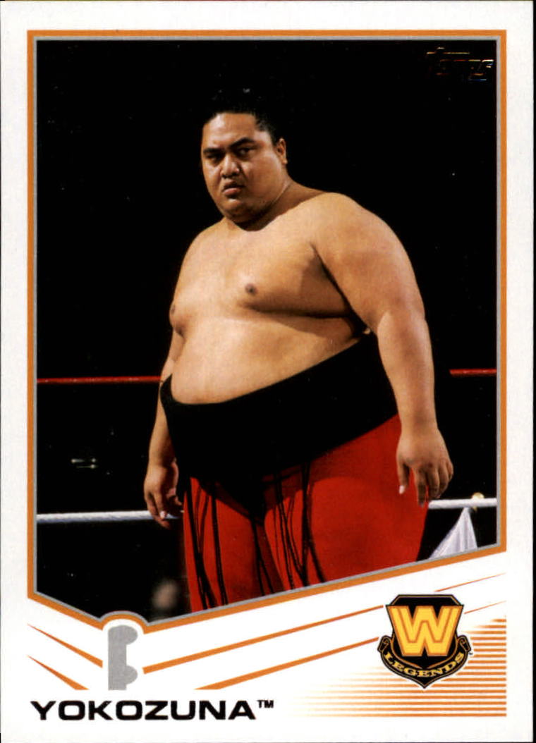 B2617- 2013 Topps WWE Wrestling Card #s 1-110 -You Pick- 15+ FREE US SHIP - Picture 36 of 37
