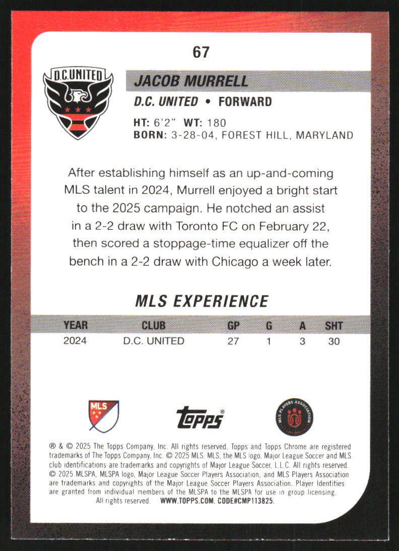 Sports Card Back
