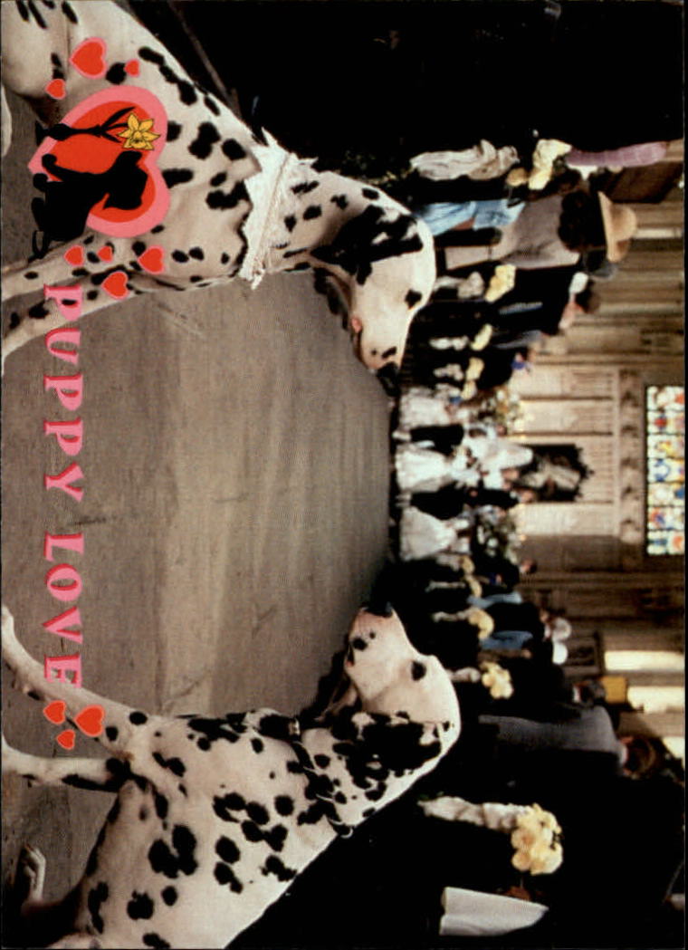 1996 SkyBox 101 Dalmatians #43 It's love at first spot for Pongo