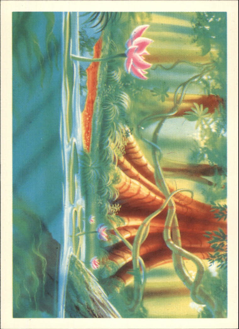 Tarjeta FernGully B6748- 1992 Dart Flipcards #s 1-100 -Tú eliges- 15+ ENVÍO GRATUITO A EE. UU. - Imagen 12 de 201