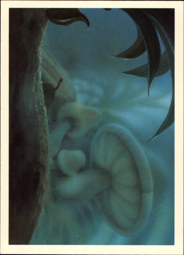 Tarjeta FernGully B6748- 1992 Dart Flipcards #s 1-100 -Tú eliges- 15+ ENVÍO GRATUITO A EE. UU. - Imagen 174 de 201