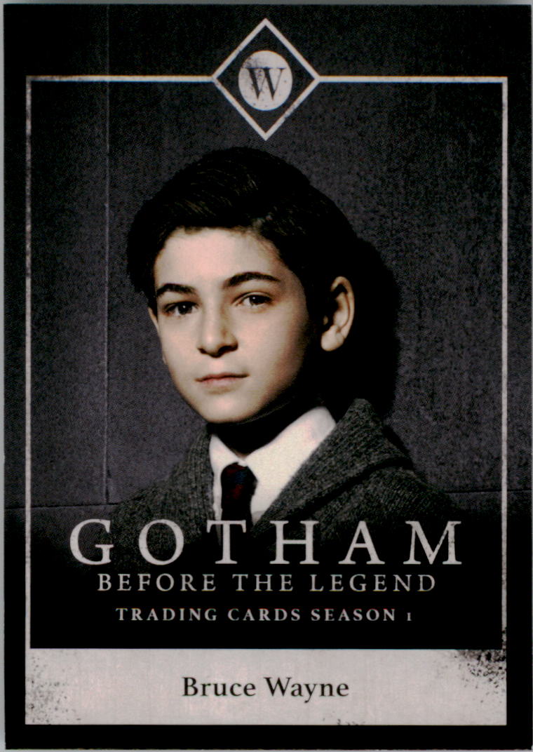 2016 Cryptozoic Gotham Season One Character Bios #C3 Bruce Wayne