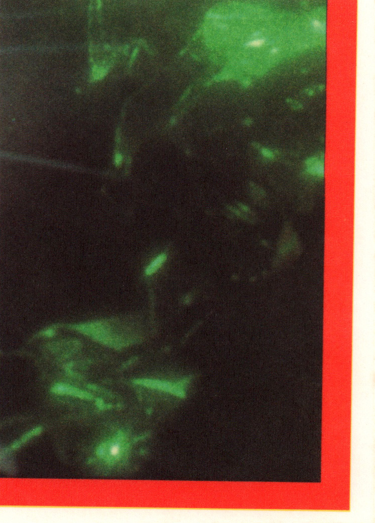 Bild 21 von 35