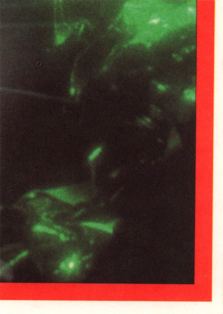 Bild 31 von 35