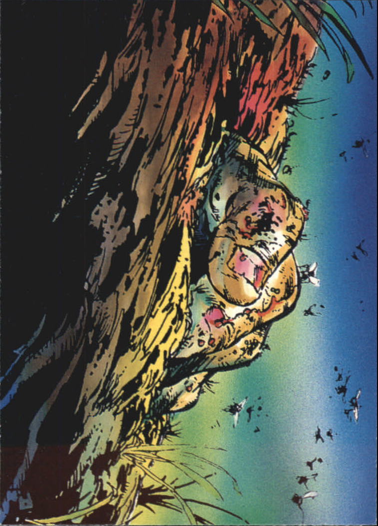 1992 Comic Bilder Spider-Man Todd McFarlane Ära BASE Sammelkarte Auswahlliste - Bild 18 von 37
