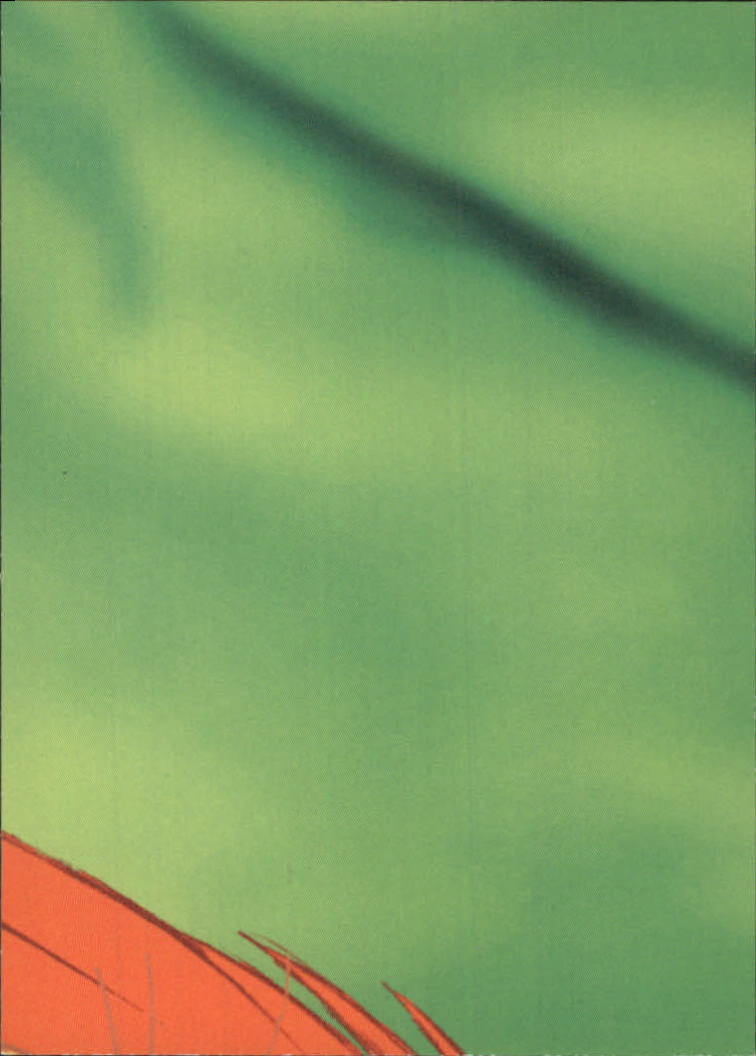 The Lion King (1994 Skybox) "Main Set" Cards #1 to #170 - Picture 216 of 339