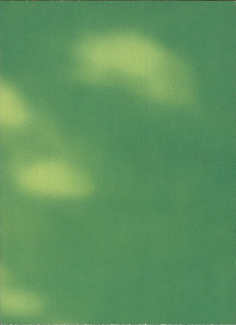 The Lion King (1994 Skybox) "Main Set" Cards #1 to #170 - Picture 228 of 339