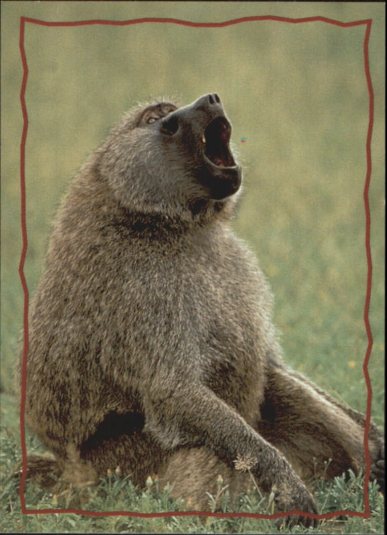 The Lion King (1994 Skybox) "Main Set" Cards #1 to #170 - Picture 314 of 339