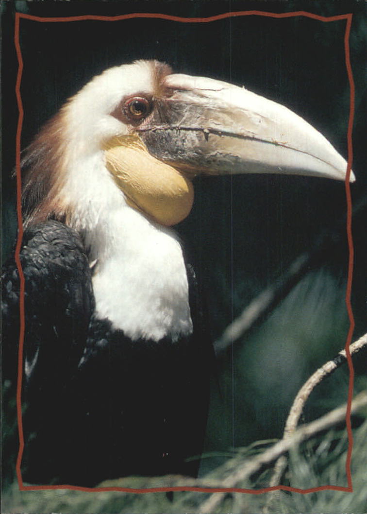 The Lion King (1994 Skybox) "Main Set" Cards #1 to #170 - Picture 320 of 339