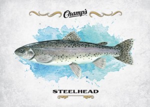Steelhead