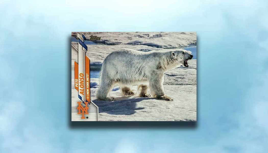 polar bear tobacco baseball cards 1909-1911 T206 (Baseball Related) *Original Coupon* How Expensive Are All 32