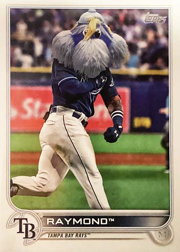 rare baseball cards 2022 Topps Chrome Value Box Order now online or visit us in store! rare 2022 baseball cards COLLECTIBLES!