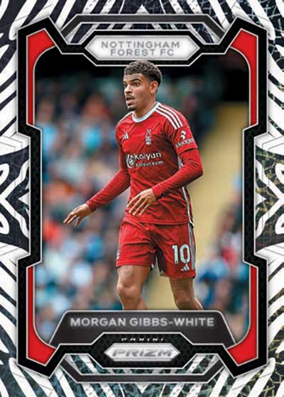 【まとめ売り】 Panini Football League PL01〜04 カードダスドットコム 公式サイト | 商品情報 - PANINI FOOTBALL