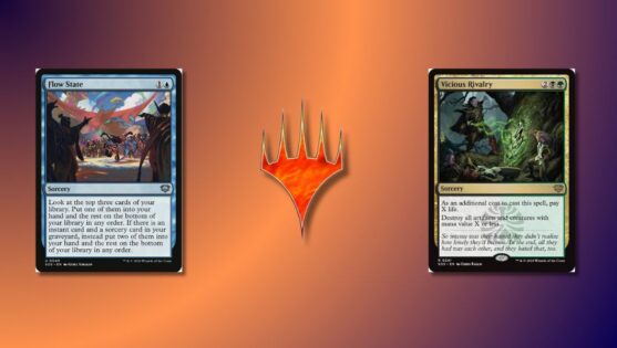 how to display mtg cards Amazon.com main image 0